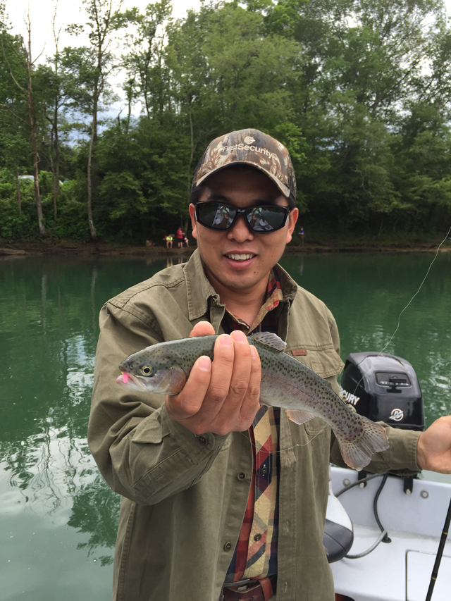 best trout fishing bait