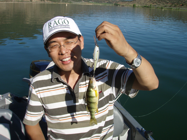 perch_fishing_lures